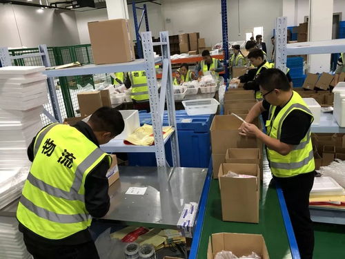 什么 破億 雙11 云起 臨浦 網紅曲奇 akoko 當日銷售千萬 看進來